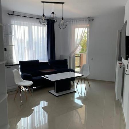 Cozy Apartment In The Center Of Cluj-Napoca Eksteriør bilde